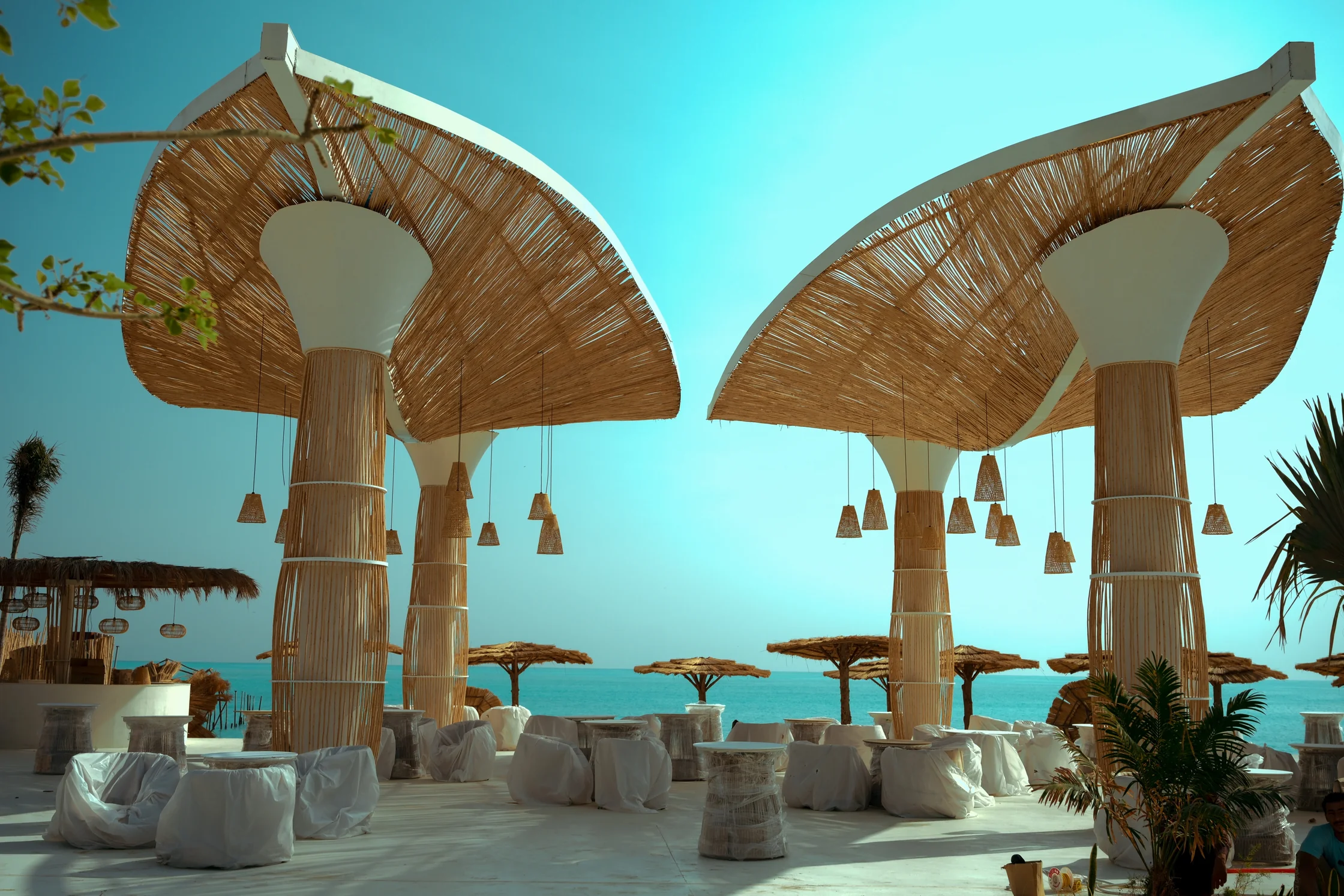 ALMA Restaurant, project cover.