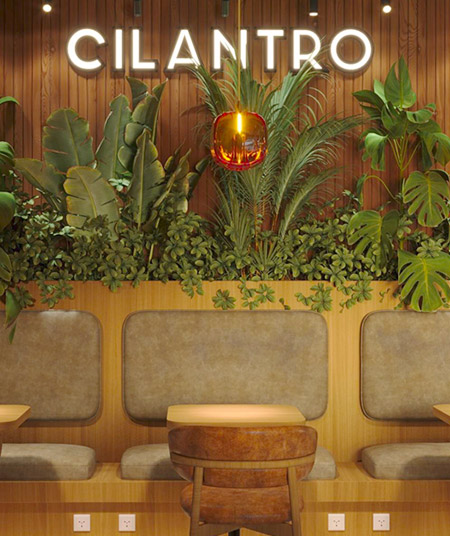 Cilantro – Abbas Akkad branch